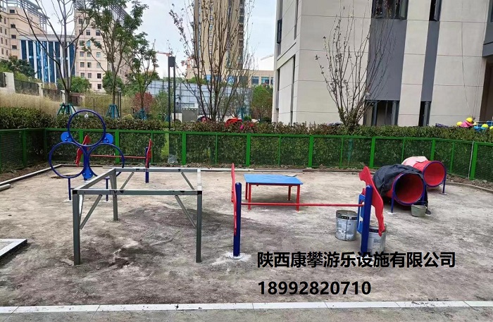 寵物訓練營 寵物訓練營